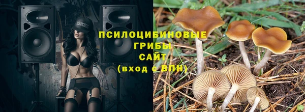 ALPHA PVP Медвежьегорск
