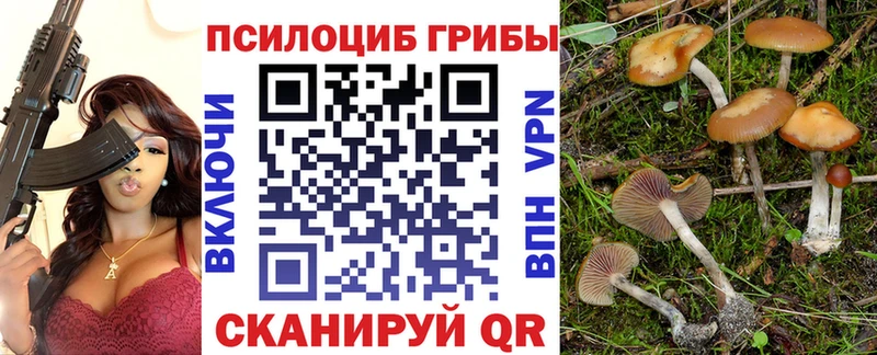 Псилоцибиновые грибы GOLDEN TEACHER  наркота  Сольцы 