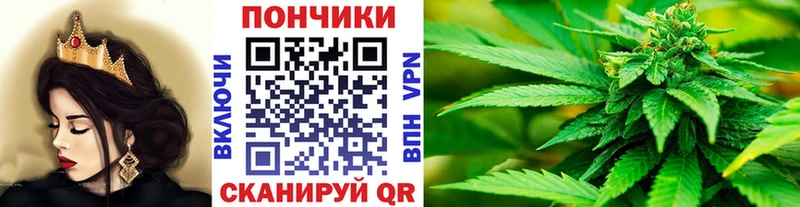 где купить наркотик  Сольцы  Бошки марихуана тримм 